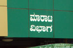 Animal Health Camp